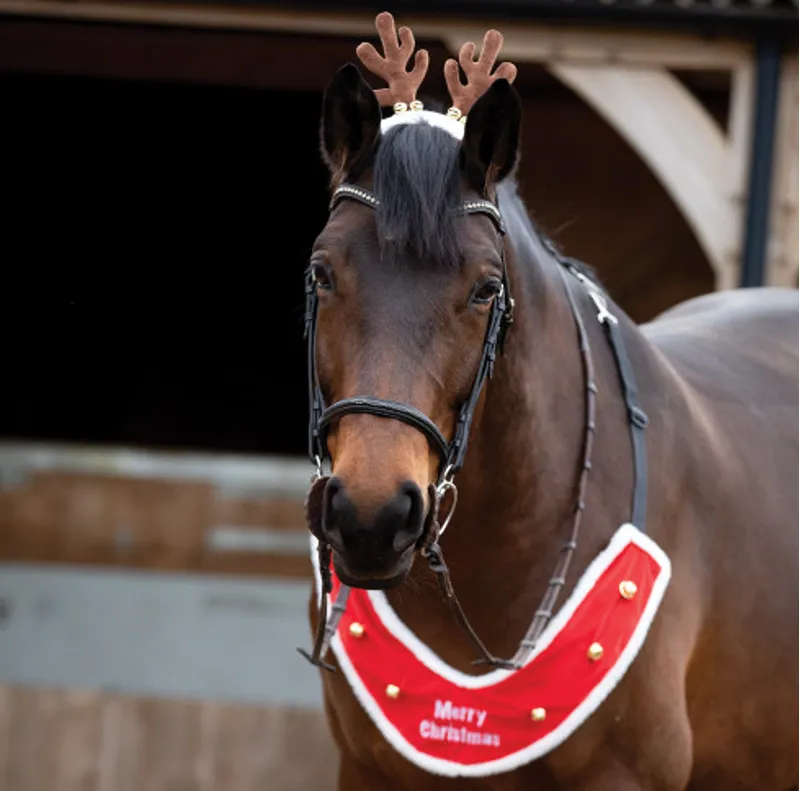 Equetech Christmas Reindeer Antler Bridle Accessory - Brown/White 